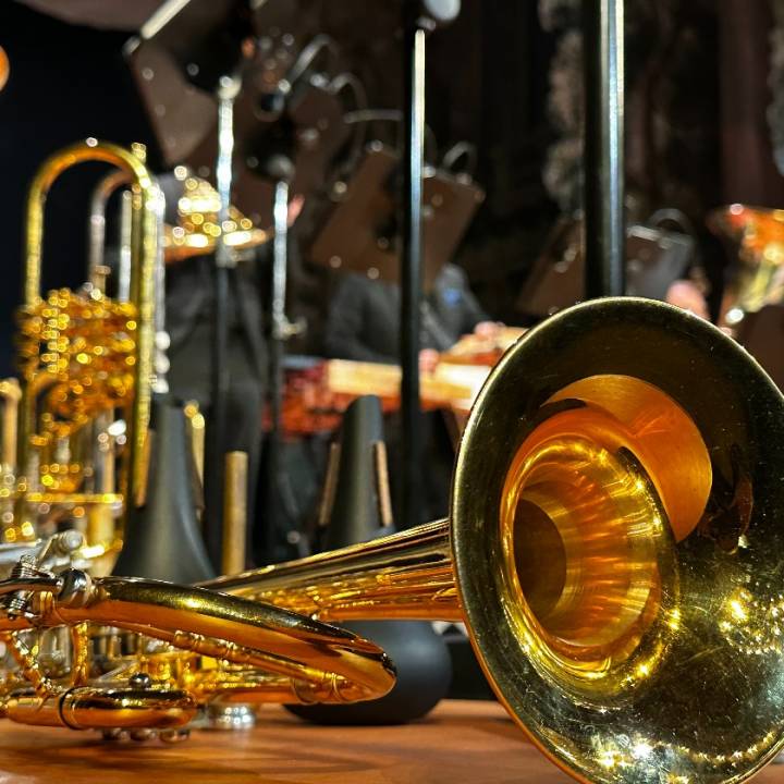 Internationale Junge Orchesterakademie