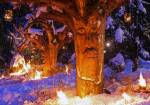 Schweinhütter Waldweihnacht