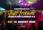 Just friends Party | Summerdream 4.0
