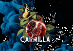 Carmilla
