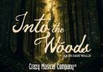 Musical: Into the Woods - Ab in den Wald