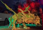 Nacht des Drachen