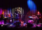 songs & stories live