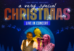 A VERY SPECIAL CHRISTMAS | Die Weihnachtsrevue