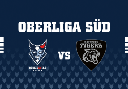 Blue Devils Weiden vs. EHF Bayreuth Tigers