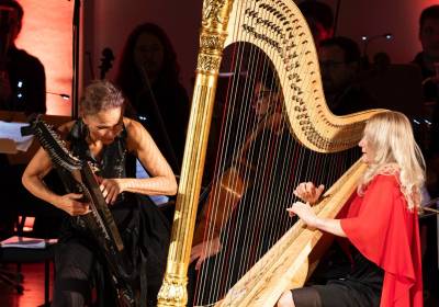 2 Hip Harps on Stage