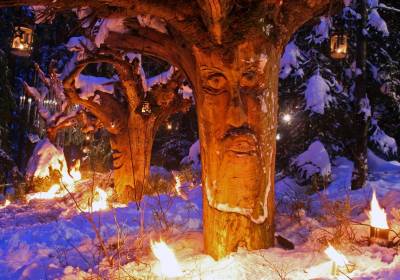 Schweinhütter Waldweihnacht