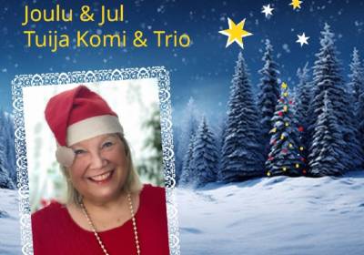 Skandinavischer Weihnachtszauber