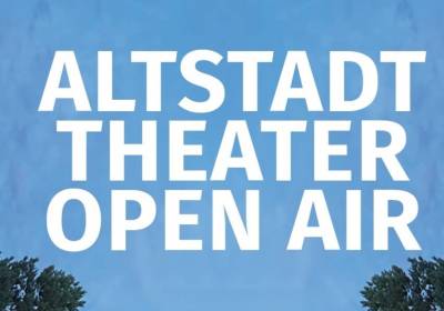 DIE NIERE von Stefan Vögel