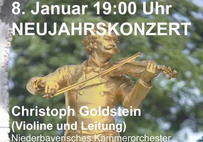 Neujahrskonzert - Walzer und Polkas