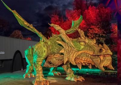 Nacht des Drachen
