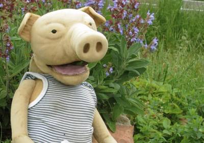 Das kleine Schweindl Henry