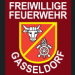Logo Freiwillige Feuerwehr Gasseldorf